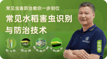 ����ˮ������ʶ�����������