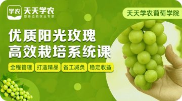 ��������õ��