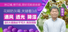 ���ڷ���ù��������������Ҫ����3��