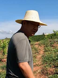 ũҵ��Ҷ�Σ�������������50����ͨѶ�˿���ũҵ����������������Ҫ��1000�����һ������������������