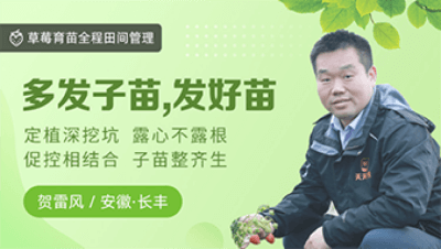 �෢���磬������������������